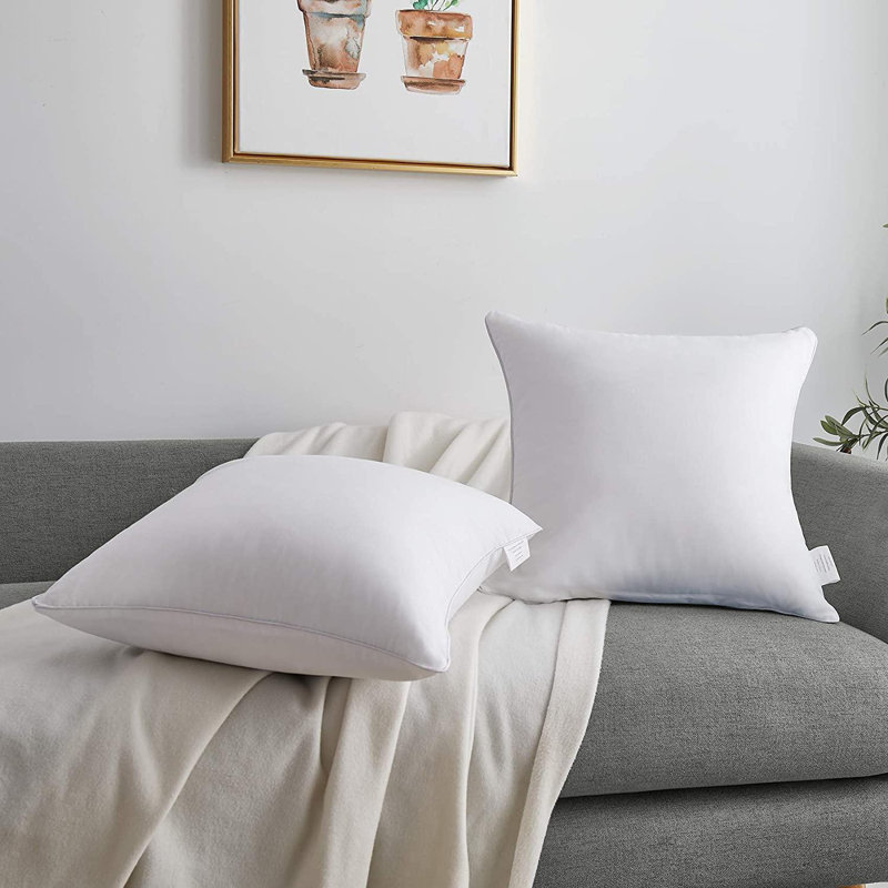 20x20 pillow insert